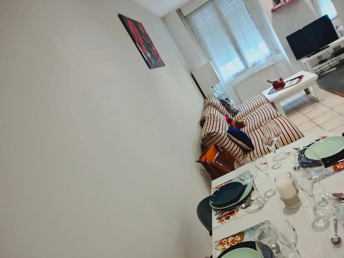 Blanc De Tardy Apartment Saint-Etienne
