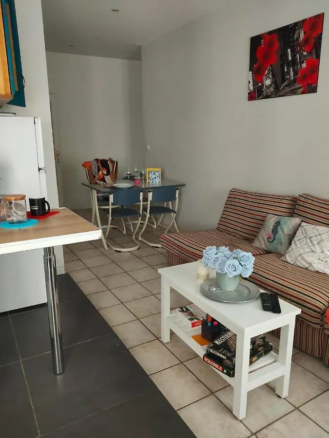 Blanc De Tardy Apartment Saint-Etienne  France
