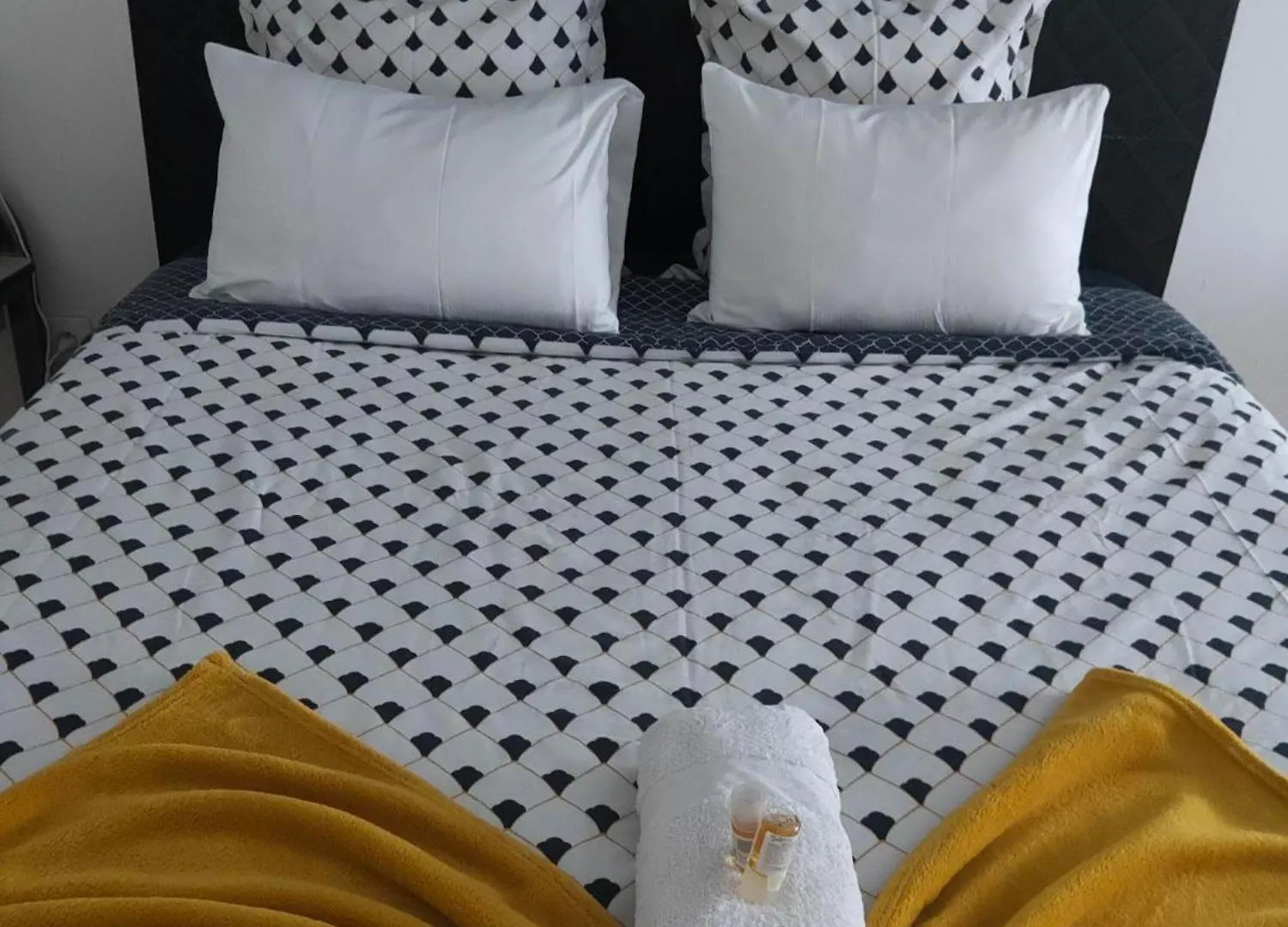 Blanc De Tardy Apartment Saint-Etienne